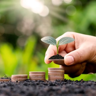 Coins growing like a plant